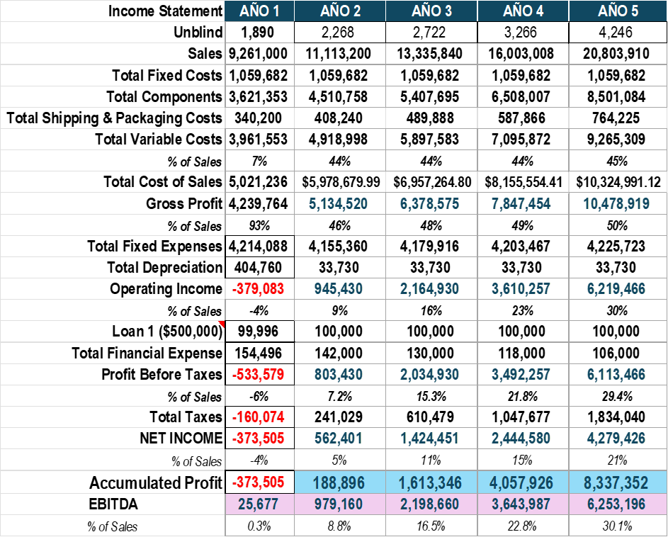 Income statement 5-year projection